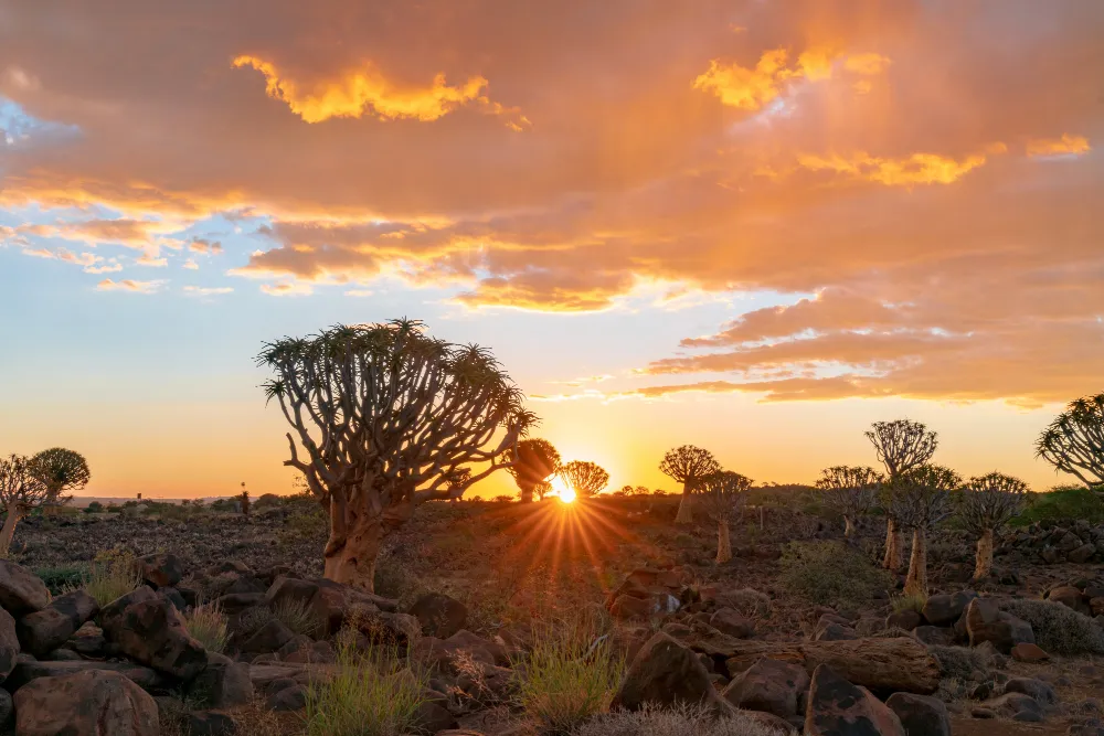 Sonnenuntergang in Südafrika – Fernreise ohne Jetlag mit Natur und Weite