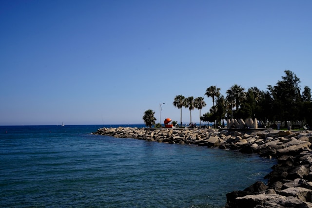 Mittelmeerlandschaft mit Palmen und Felsen